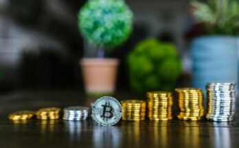 "Why Crypto Leaders are Confident About the Future: The Blockchain Revolution Is Underway"