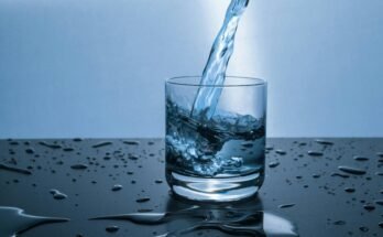 The Crucial Role of Hydration in Fitness Performance & Recovery